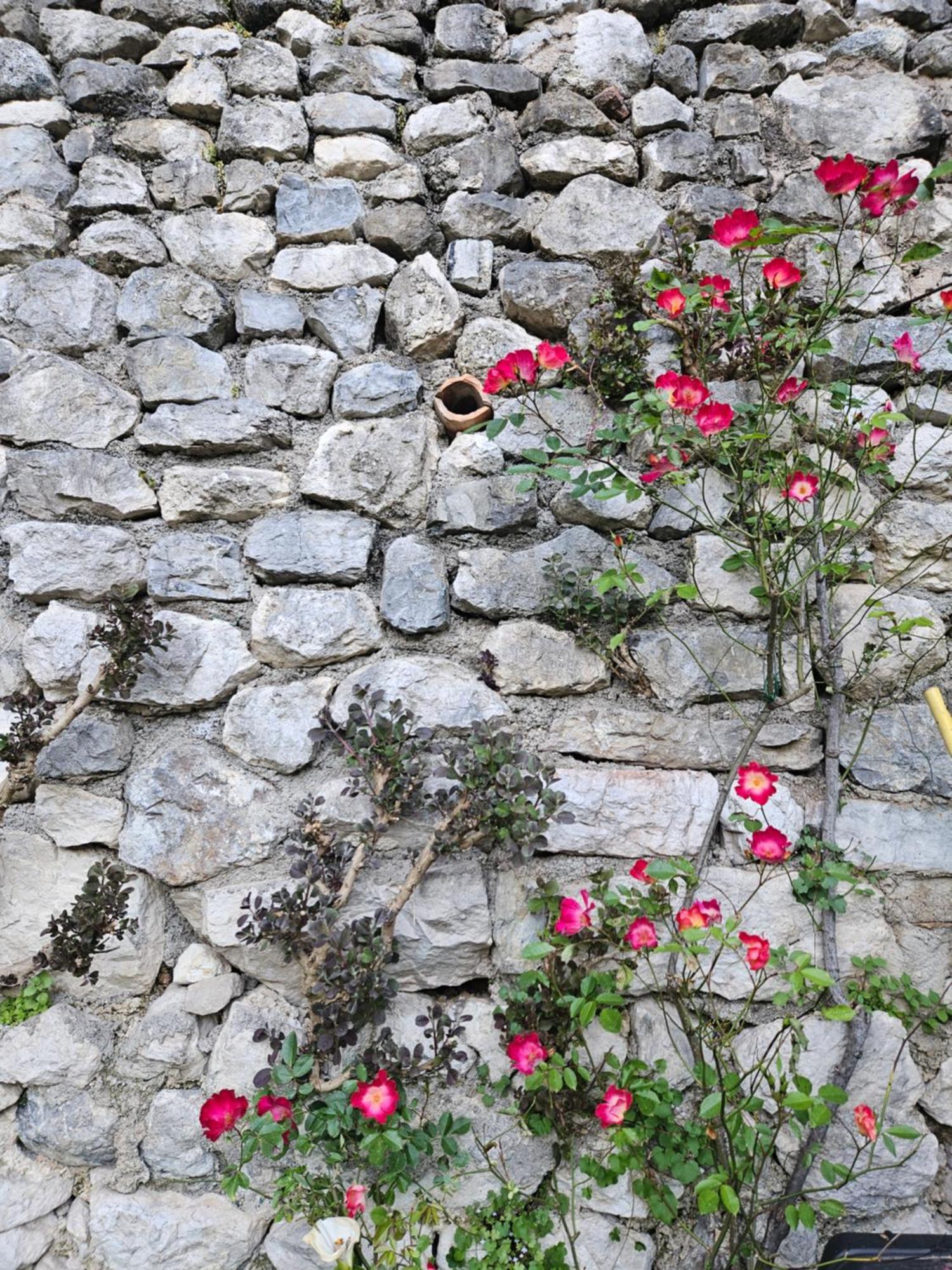 Gardainn Giardino 38A ريفا ديل غاردا المظهر الخارجي الصورة